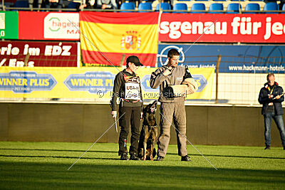 Joker von der Beizjagd