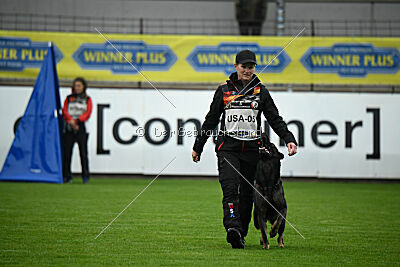 Joker von der Beizjagd