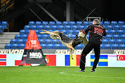 Jon Snow von der Briken