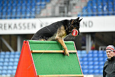 Jon Snow von der Briken