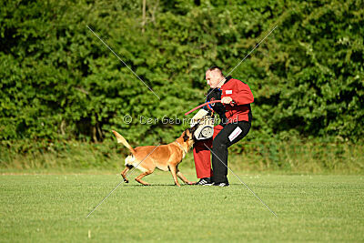Jordan du Baudet Rouge