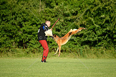 Jordan du Baudet Rouge