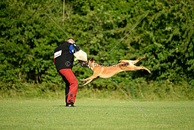 Jordan du Baudet Rouge
