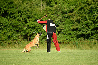 Jordan du Baudet Rouge