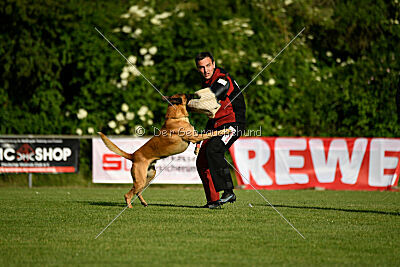 Jordan du Baudet Rouge