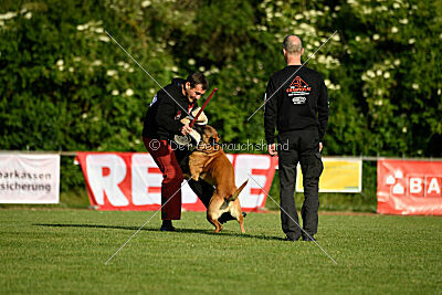 Jordan du Baudet Rouge