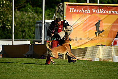 Jordan du Baudet Rouge