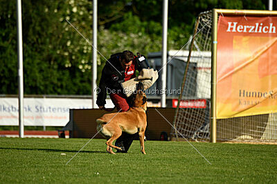 Jordan du Baudet Rouge