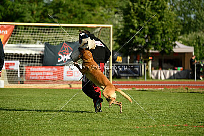 Jordan du Baudet Rouge