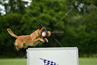 Jordan du Baudet Rouge