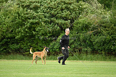 Jordan du Baudet Rouge