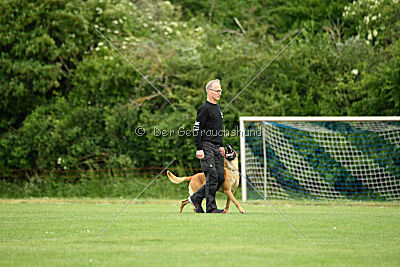 Jordan du Baudet Rouge