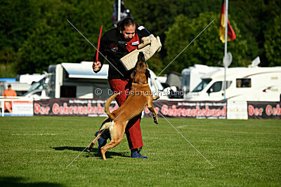 Jordan du Baudet Rouge