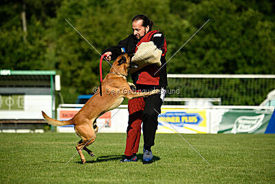 Jordan du Baudet Rouge