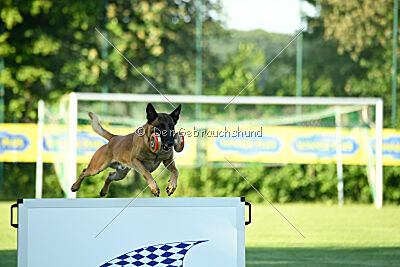 Jordan du Baudet Rouge