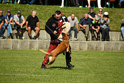 Jordan du Baudet Rouge