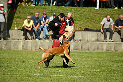 Jordan du Baudet Rouge