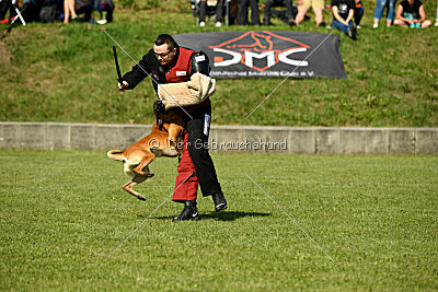 Jordan du Baudet Rouge