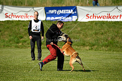 Jordan du Baudet Rouge