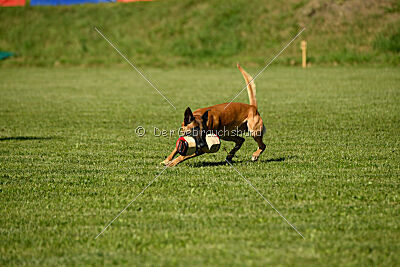 Jordan du Baudet Rouge