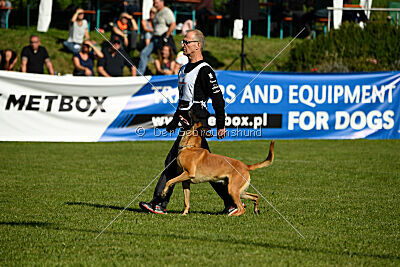 Jordan du Baudet Rouge
