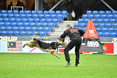 Jordan vom Kämpferherz