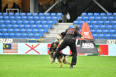 Jordan vom Kämpferherz