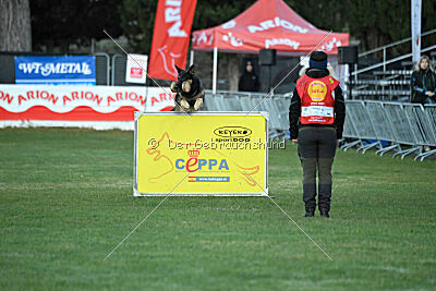 Jordan vom Kämpferherz