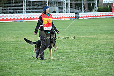 Jordan vom Kämpferherz