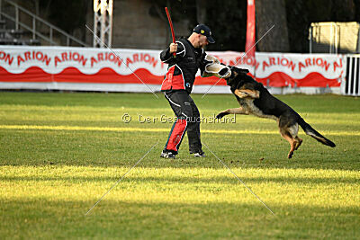 Jordan vom Kämpferherz