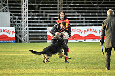 Jordan vom Kämpferherz