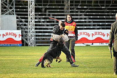 Jordan vom Kämpferherz