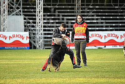 Jordan vom Kämpferherz