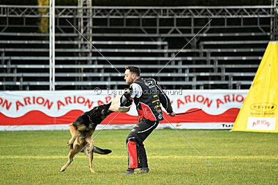 Jordan vom Kämpferherz