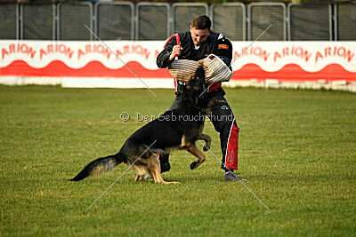 Jordan vom Kämpferherz