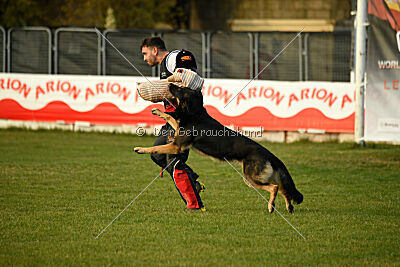 Jordan vom Kämpferherz