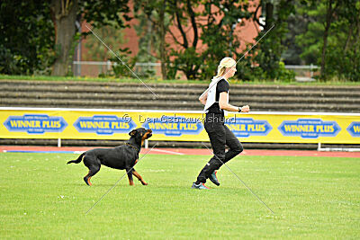 Joyce aus der Bohmter Heide