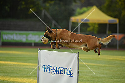 Jussuf vom Haus Mecki