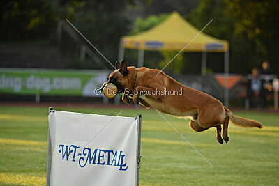 Jussuf vom Haus Mecki