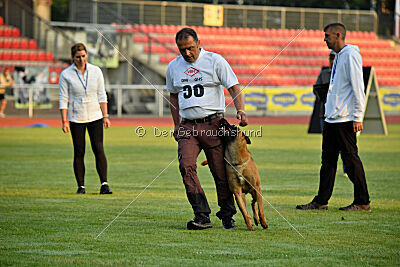 Jussuf vom Haus Mecki