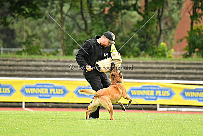 Jussuf vom Haus Mecki