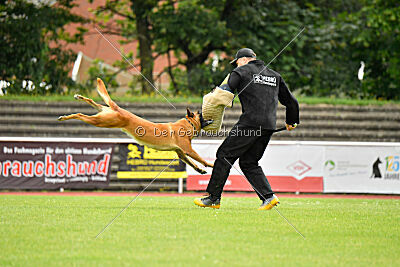 Jussuf vom Haus Mecki