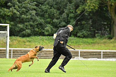 Jussuf vom Haus Mecki