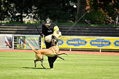 Just Smile vom Streitwald