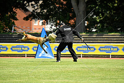 Just Smile vom Streitwald