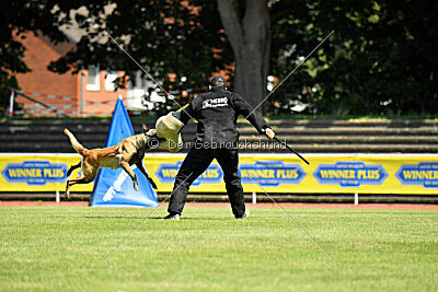 Just Smile vom Streitwald