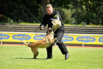 Just Smile vom Streitwald