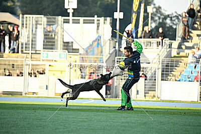 Jutta-Hermine vom Irrbühl