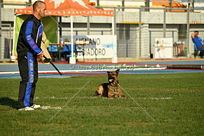 K-che-me achi du Tulipe Noir