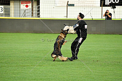 Kalea vom Rabenfelsen